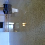 Floor Cleaning and Polishing